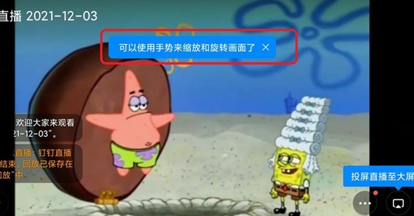 钉钉下载电脑版官网地址?获取Windows版本资源方式